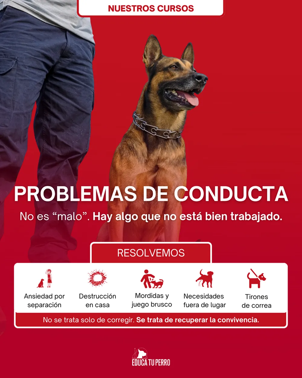 Educa Tu Perro 5